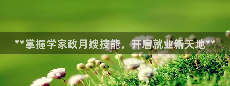 杏悦平台代理多少钱