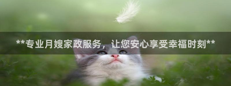 杏悦官方平台官网入口
