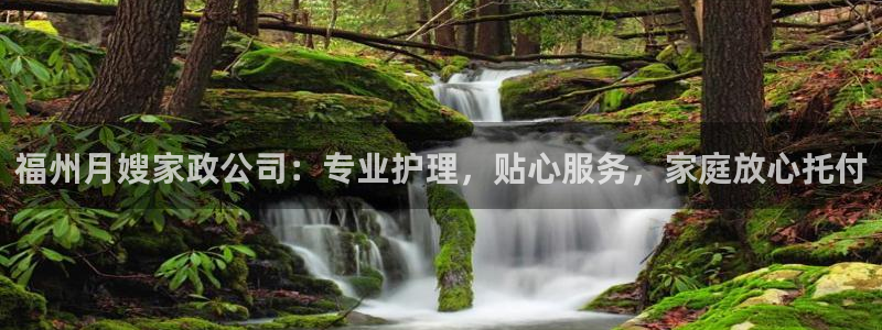 杏悦平台开户地址