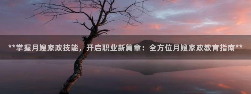 杏悦官方平台官网入口