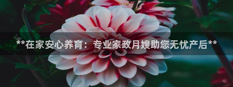 杏悦平台如何
