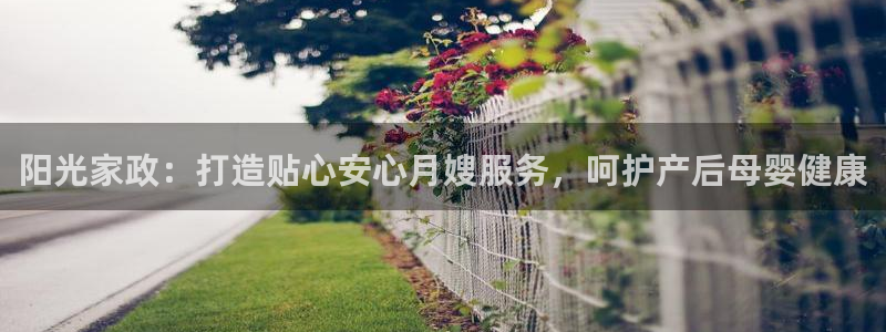 杏悦平台线路测速