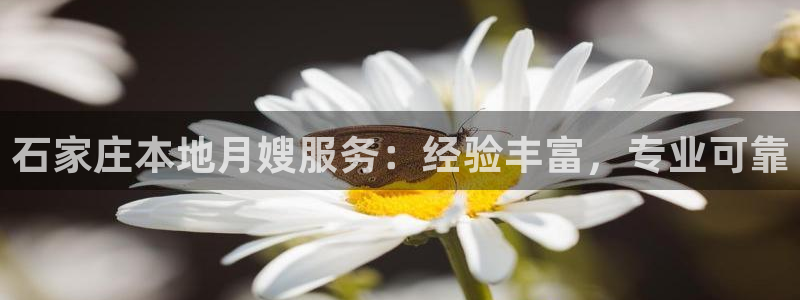 杏悦平台代理怎么做