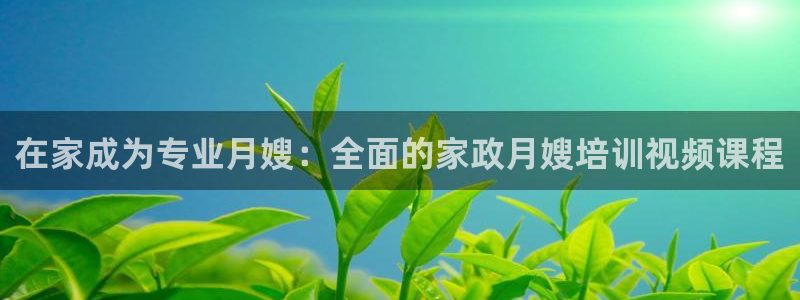杏悦平台代理