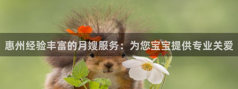 杏悦官方平台官网入口