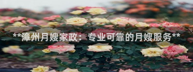杏悦平台代理怎么做的