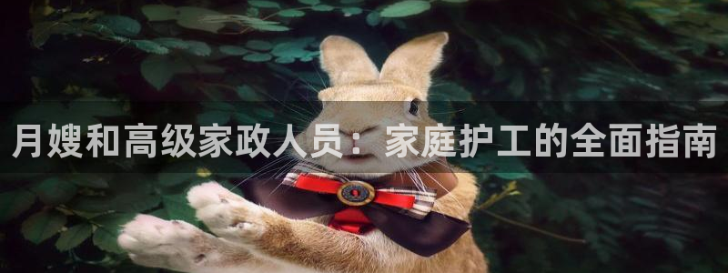 杏悦平台代理怎么赚钱