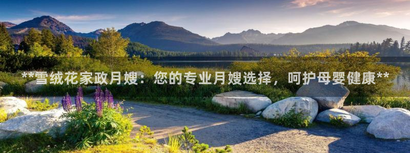 杏悦平台代理怎么样可靠吗