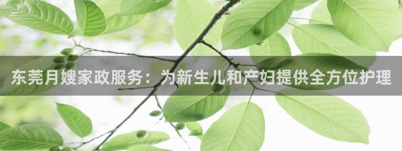 杏悦官方平台官网