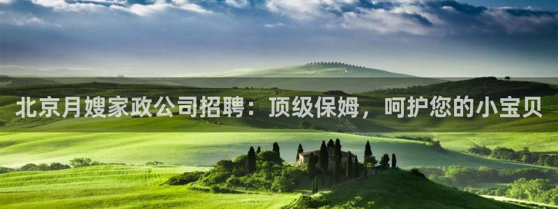杏悦招商地址