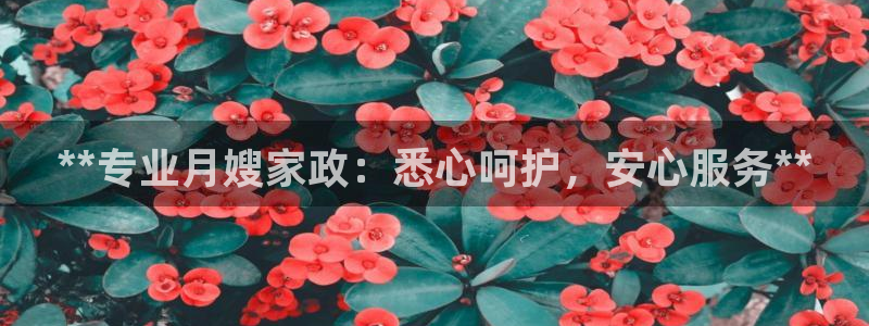 杏悦平台登录网址是多少