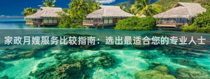 杏悦平台代理多少钱