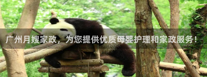 杏悦官方平台官网首页