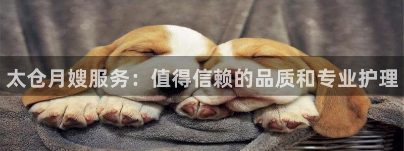 杏悦平台登录网址查询