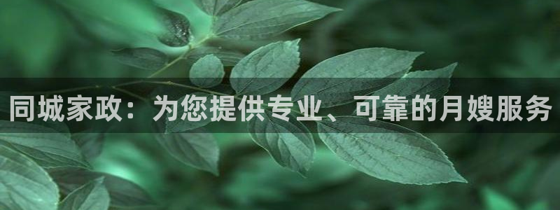 杏悦平台登录网址