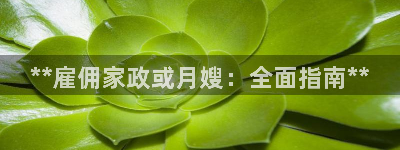 杏悦平台招商