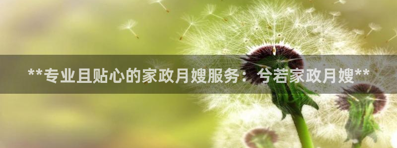 杏悦平台主管