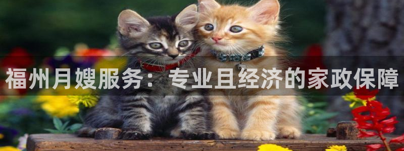 杏悦平台注册地址在哪里
