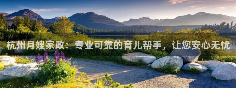 杏悦平台如何