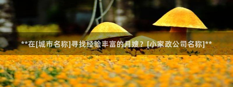 杏悦官网注册信息查询