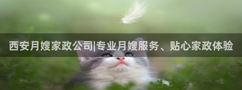 杏悦平台登录网址是什么