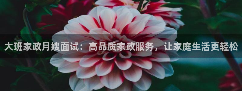 杏悦平台代理注册