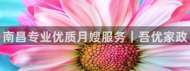 杏悦官方平台官网入口