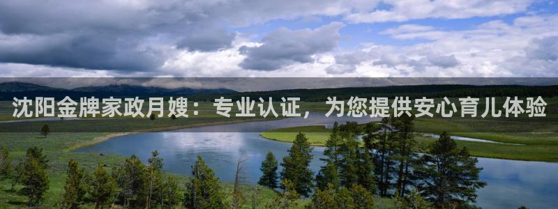 杏悦平台注册流程