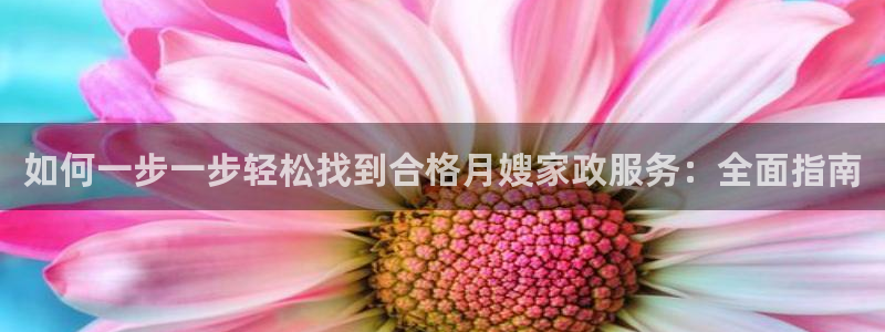 杏悦平台注册流程