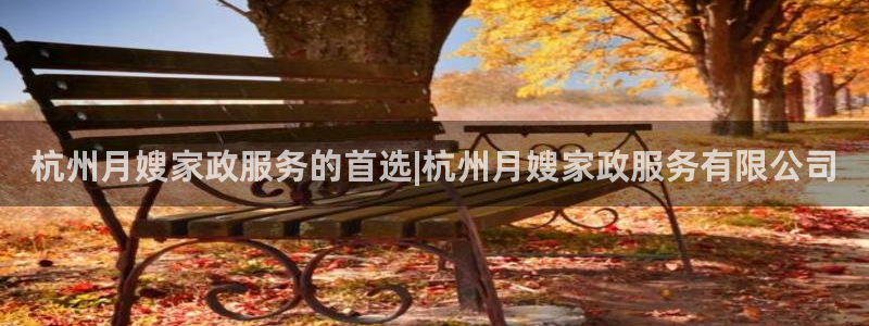 杏悦总代理