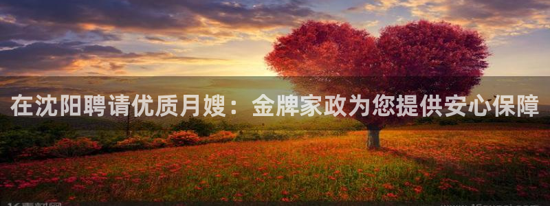 杏悦平台代理怎么做的