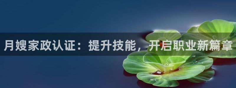 杏悦平台地址
