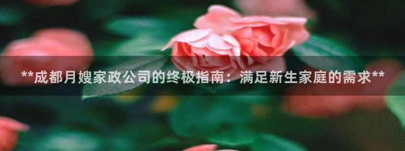 杏悦平台代理怎么赚钱的