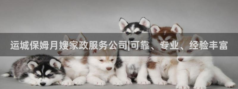 杏悦平台招商电话