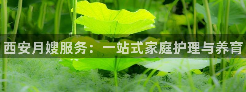 杏悦t首选推荐平台