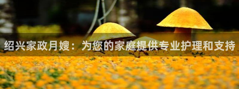 杏悦平台代理怎么做