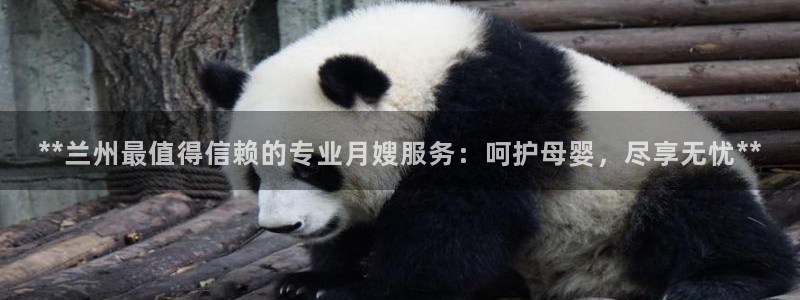 杏悦1招商地址