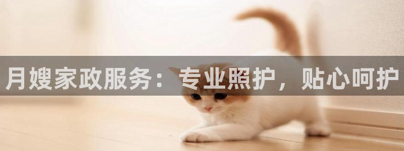 杏悦平台代理怎么样啊