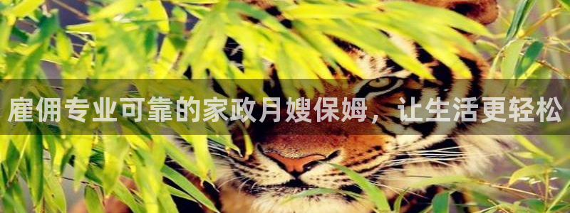 杏悦平台代理