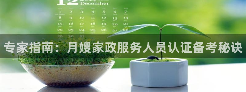 杏悦官方平台官网入口