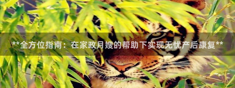 杏悦平台可靠吗