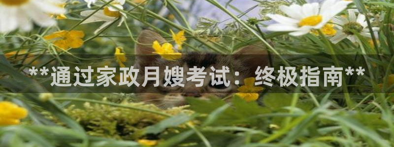 杏悦平台招商怎么样