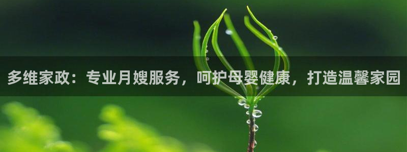 杏悦平台线路测速
