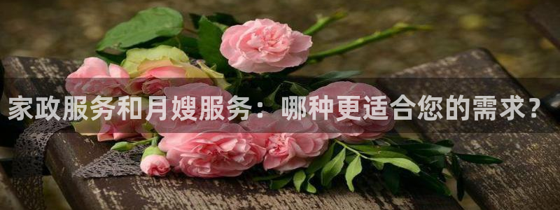 杏悦平台代理怎么做