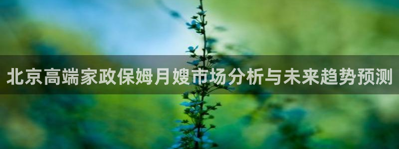 杏悦主管