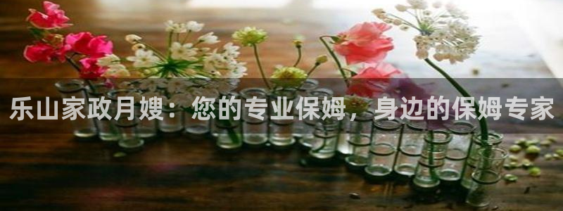 杏悦平台线路测速