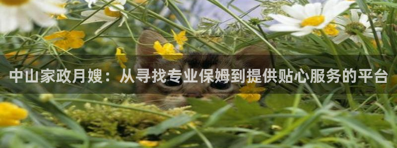 杏悦平台招商电话号码