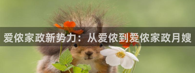 杏悦平台可靠吗可信吗是真的吗