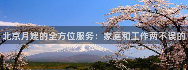 杏悦平台代理怎么赚钱快