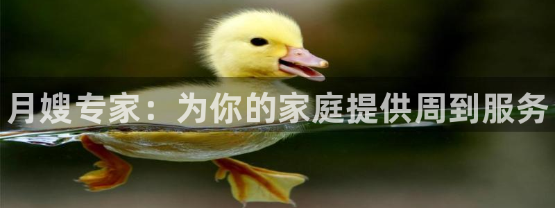 杏悦地址